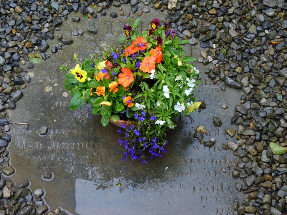 Flowers cemetery floral decorations
