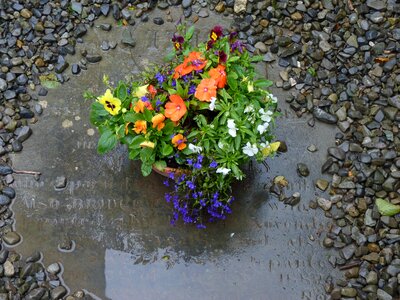 Flowers cemetery floral decorations