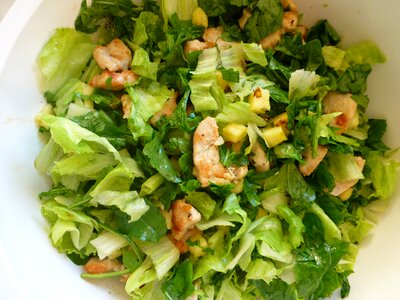 Salad green chicken photo