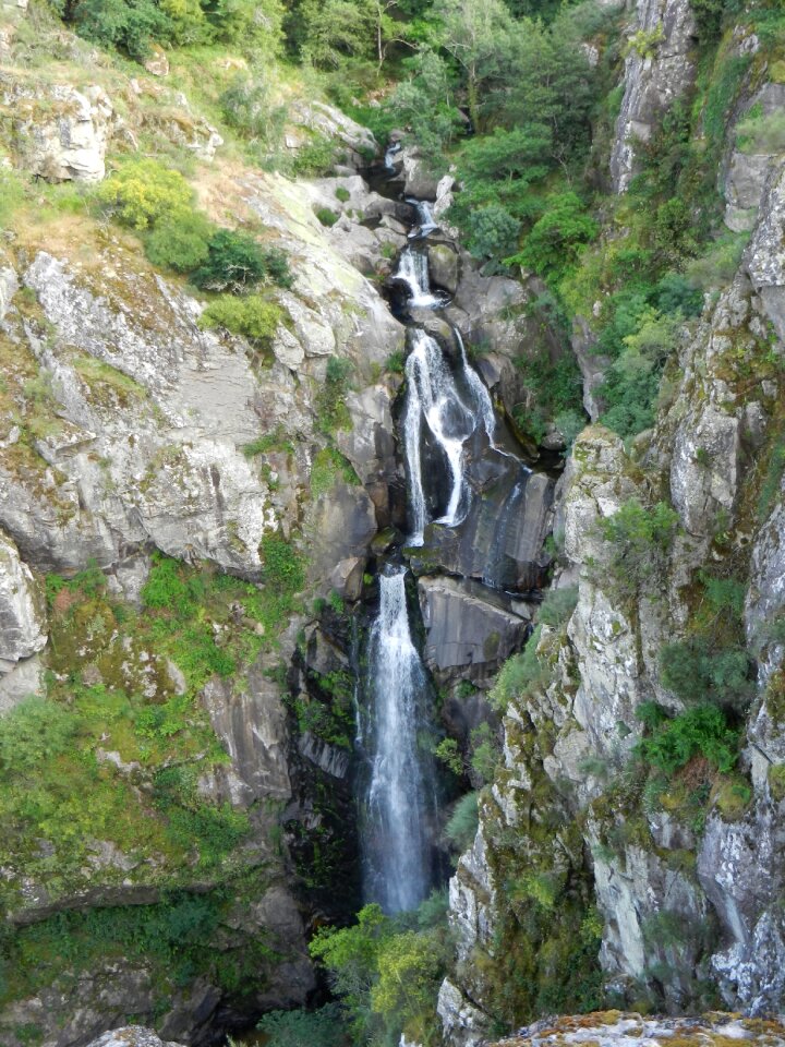 River nature landscape