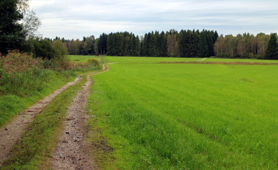 Landscape nature reported