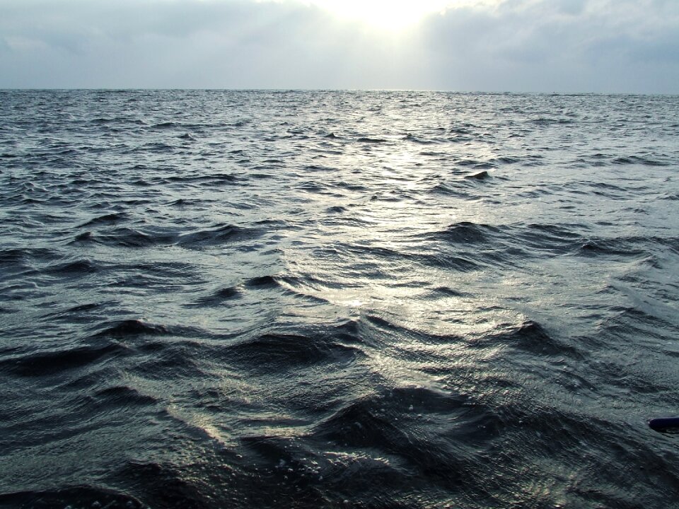 Sea sunset wave