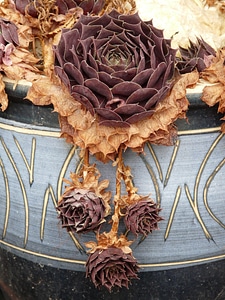 Thick sheet greenhouse pot ornament