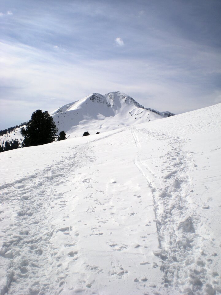 Winter landscape cold