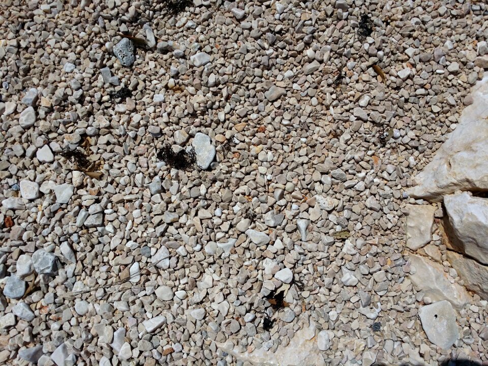 Texture stone beach photo