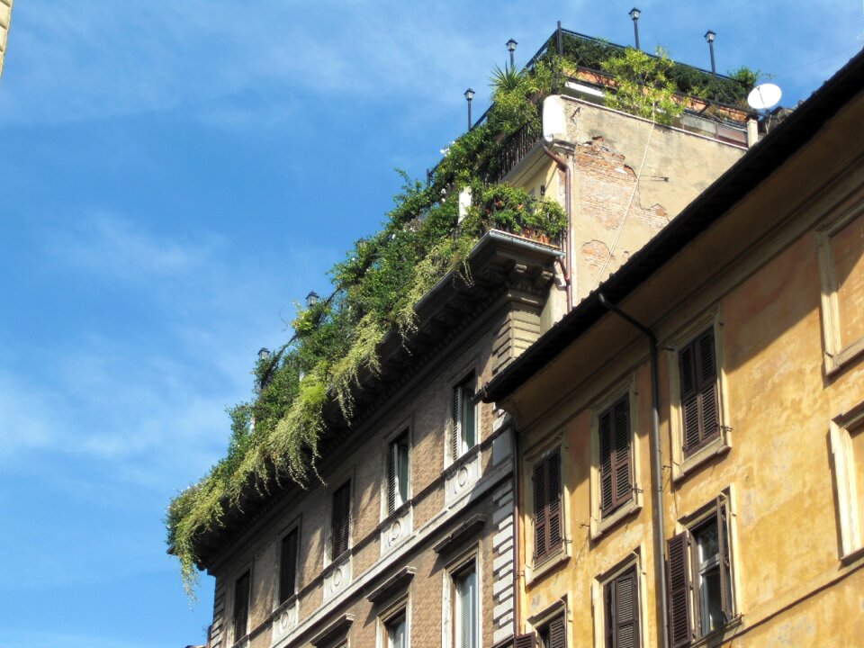 Building facade architecture