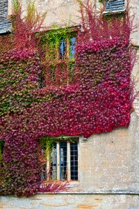 Cover autumn colour window