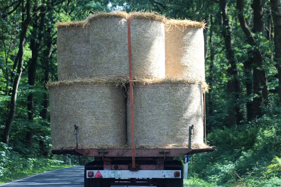 Cattle feed wrapped up round bales