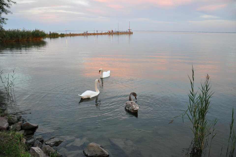 Water level lake balaton autumn