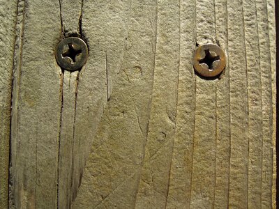 Wood screw natural