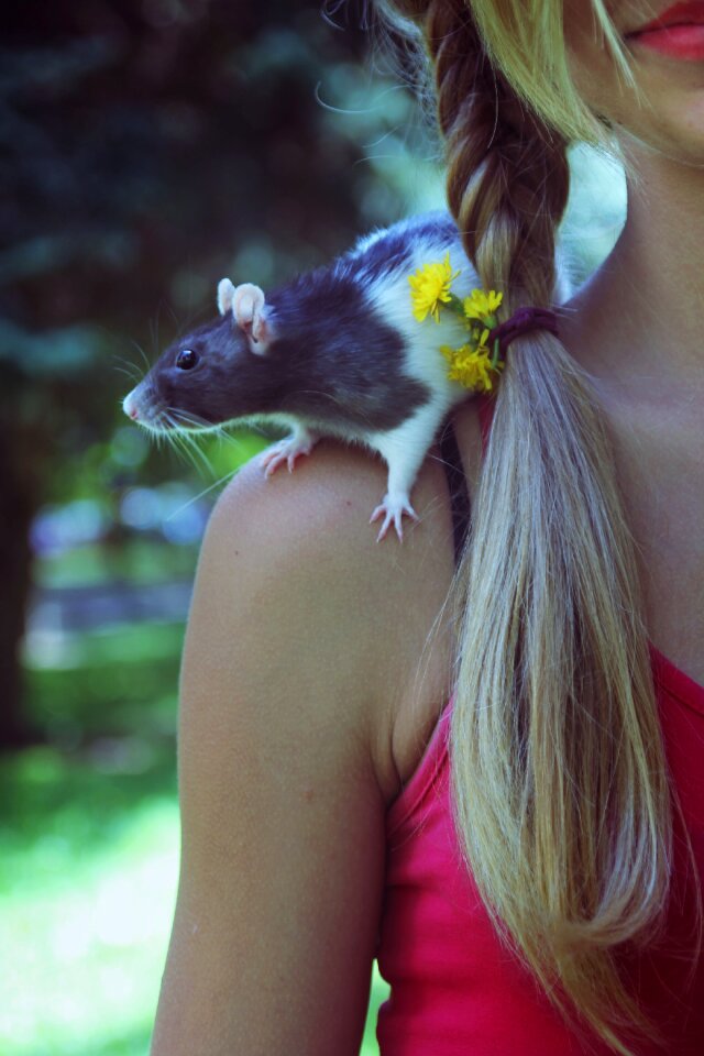 Rat girl park