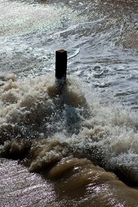 Timber post north sea coast