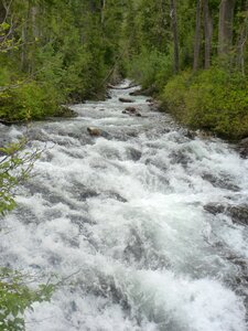 Nature stream landscape photo