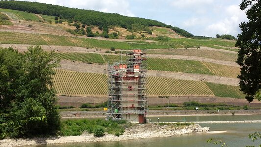 Sachsen winegrowing vineyard