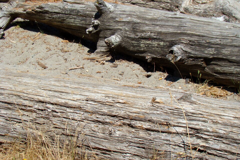 Brown texture material