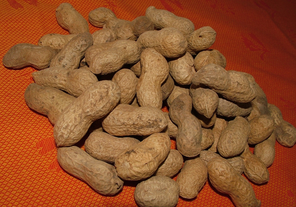 Organic nutrition natural