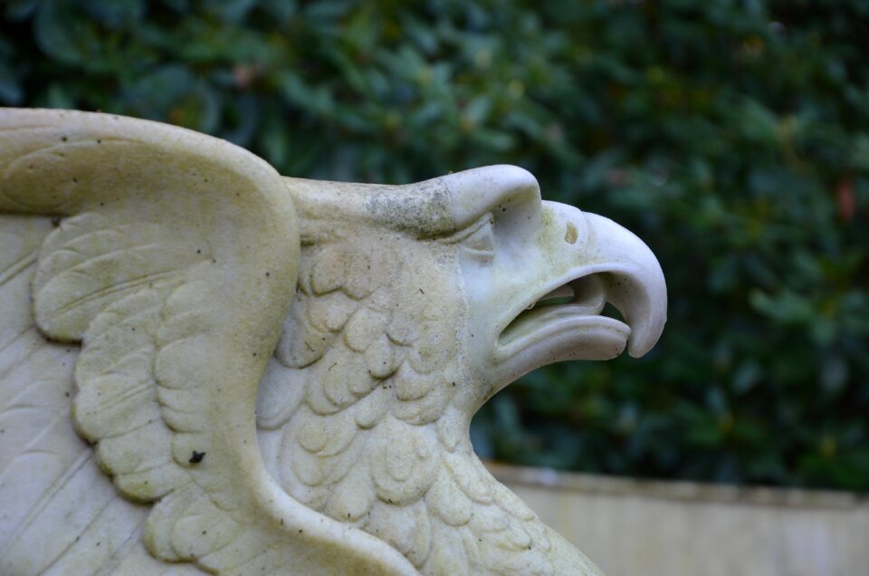 Griffin marble sculpture