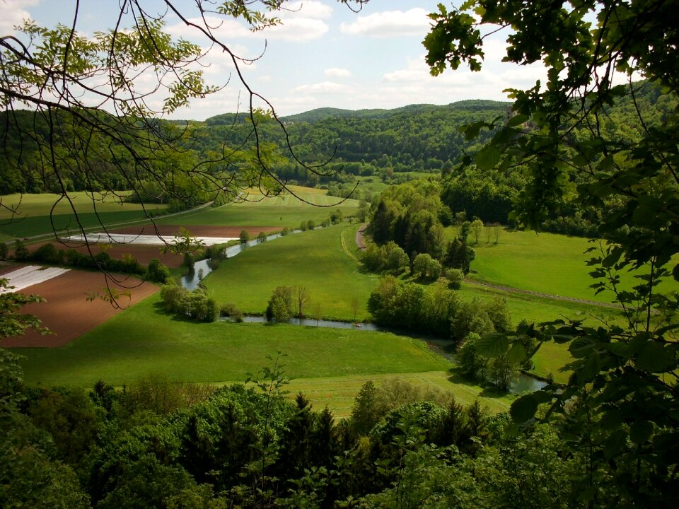 Reported germany forests