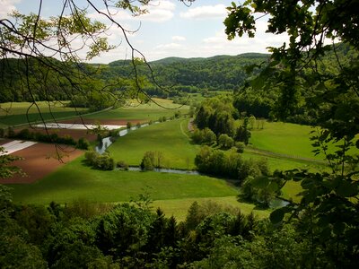Reported germany forests