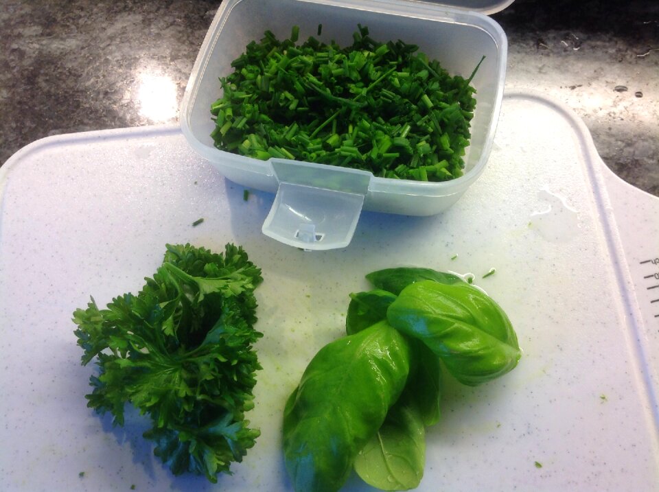 Herbs kitchen culinary herbs