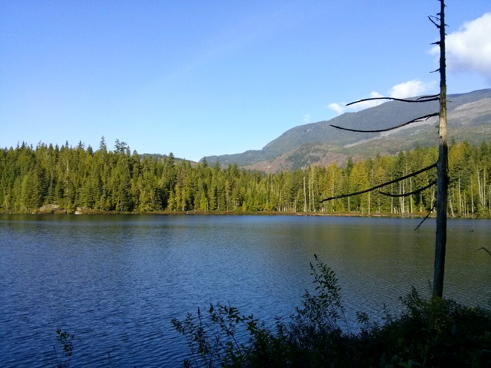 Landscape summer outdoor