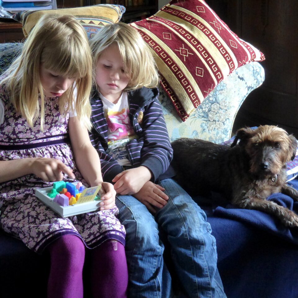 Family life animals play