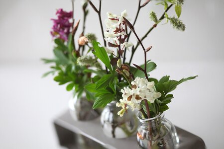 White houseplant flower vase