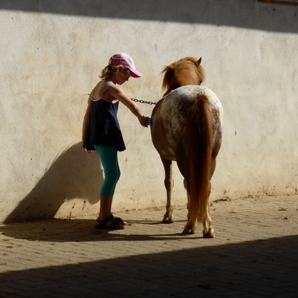Horse riding pony fun