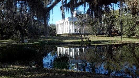 Plantation louisiana landscape