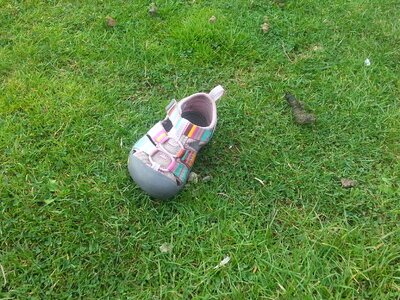 Girls shoe infant shoe shoe photo