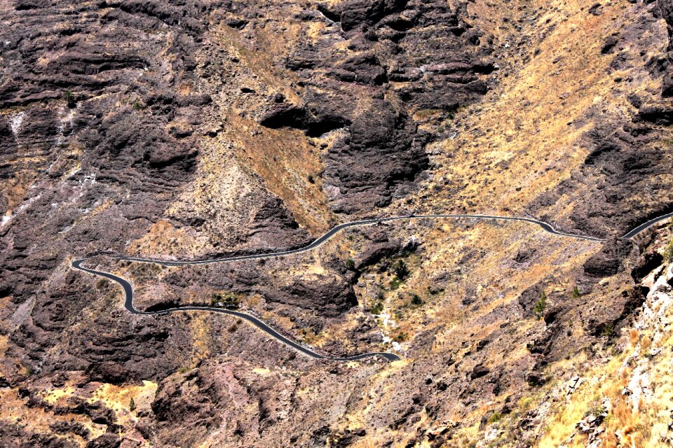 Serpentines canary islands canary photo