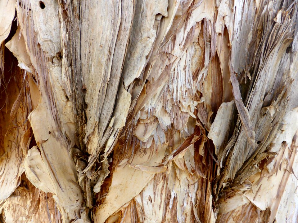 Pattern rough surface
