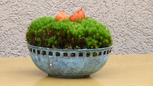 Decoration green flowers