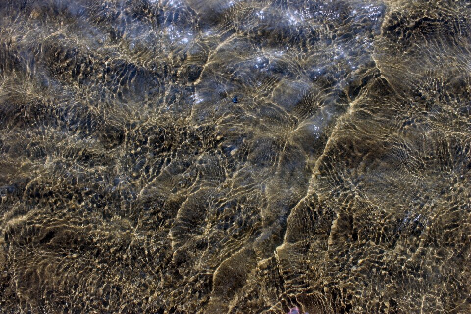 Beach nature ocean
