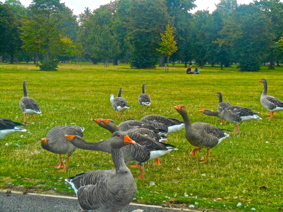 Kensington gardens hyde park london