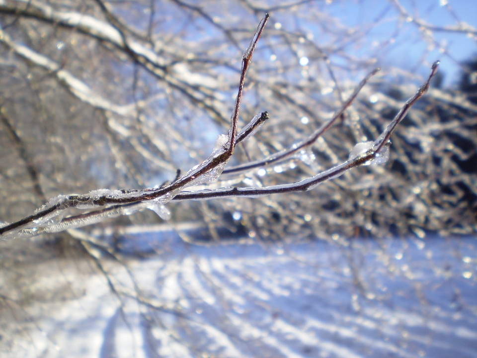 Snow ice holiday photo