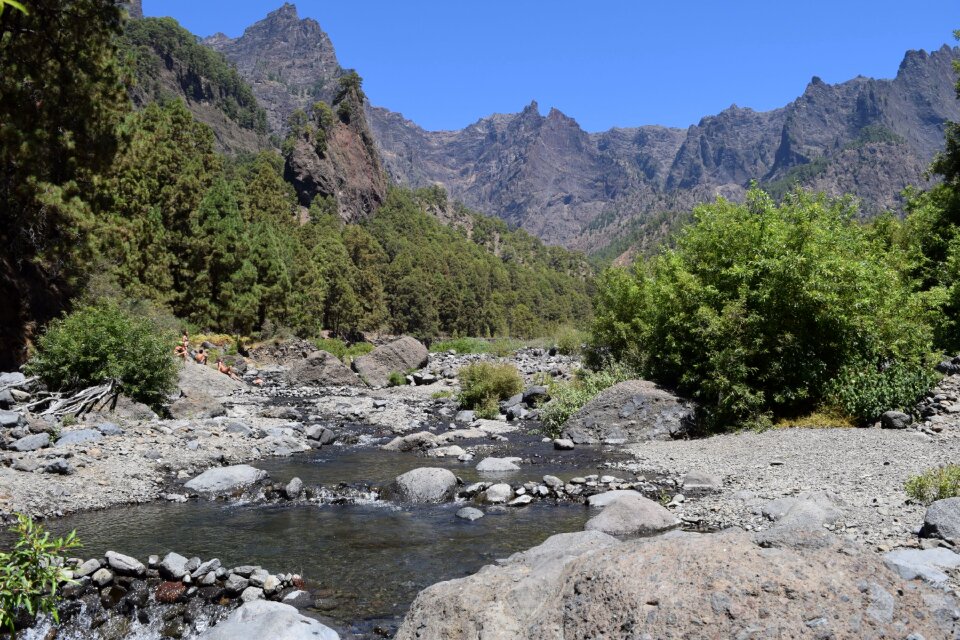Mountain stream gorge canary islands