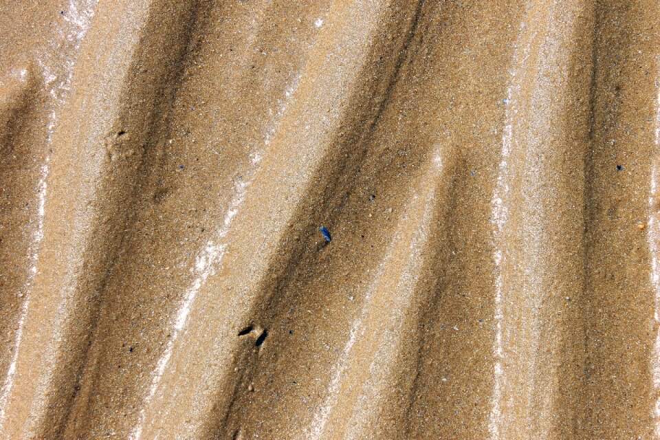 Nature ocean texture