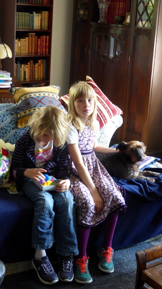 Family life animals play