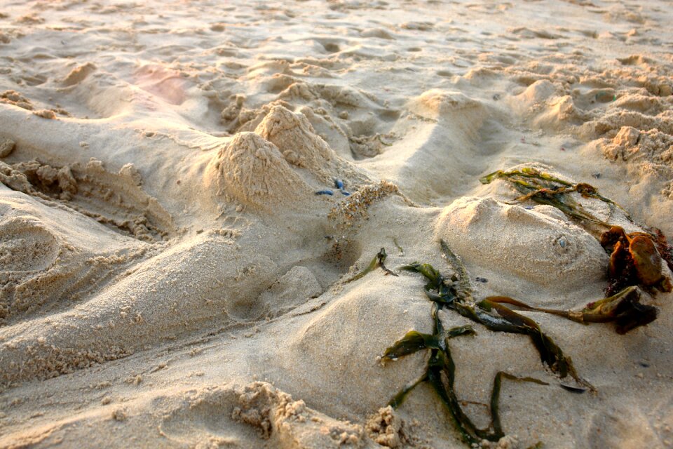Sand sculpture sculpture sand beach