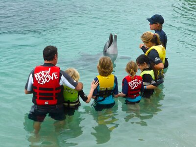 Aquatic play marine