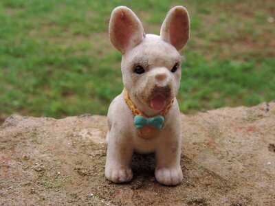 Dog toy sitting