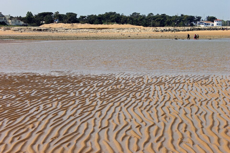 Nature ocean oléron