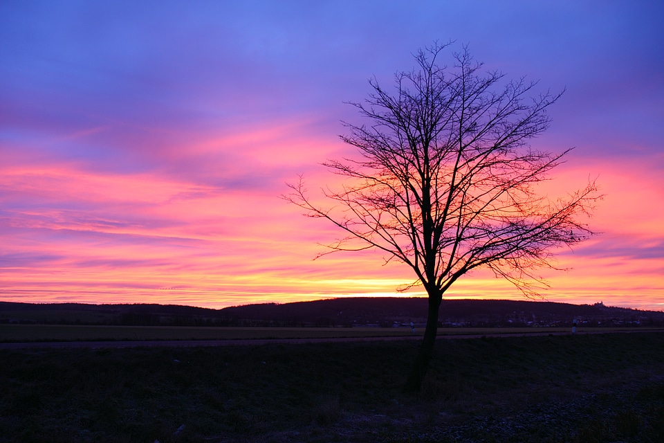 Orange purple dark