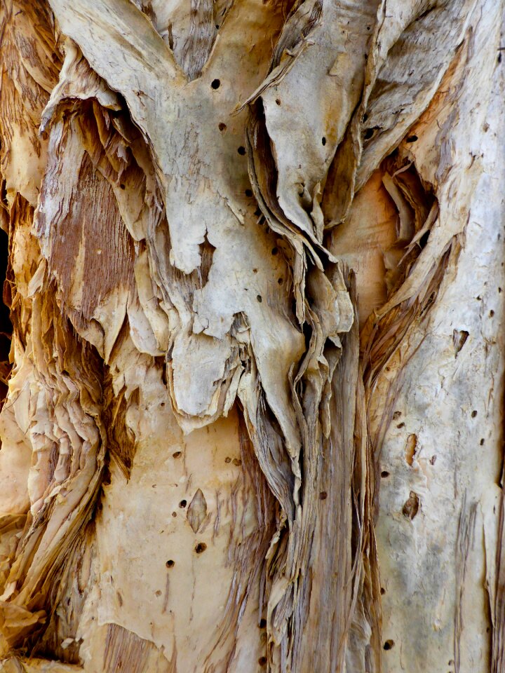 Surface closeup textured