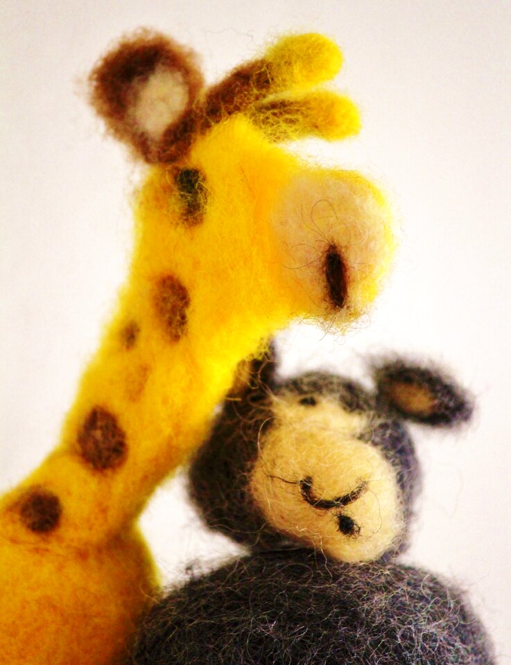 Soft toys consulting nonviolent communication
