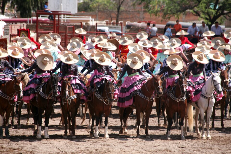 Charros horses canvas