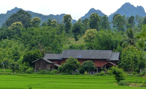Traditional house peasant thailand