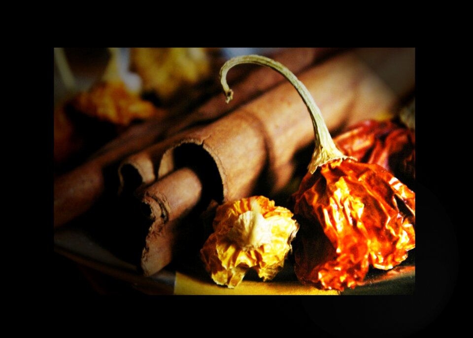 Spices macro still lifes
