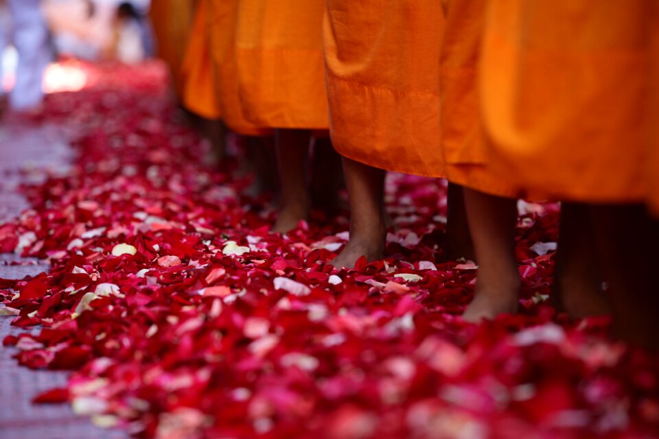 Rose petals feet robes photo